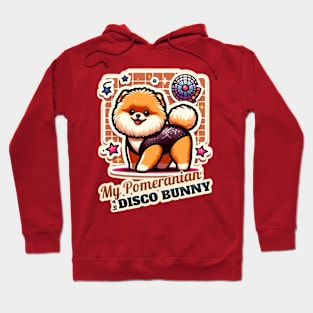 Pomeranian Disco Bunny Hoodie